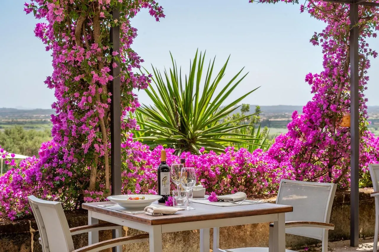 Agroturismo Son Siurana Alcudia  Alcudia (Mallorca)