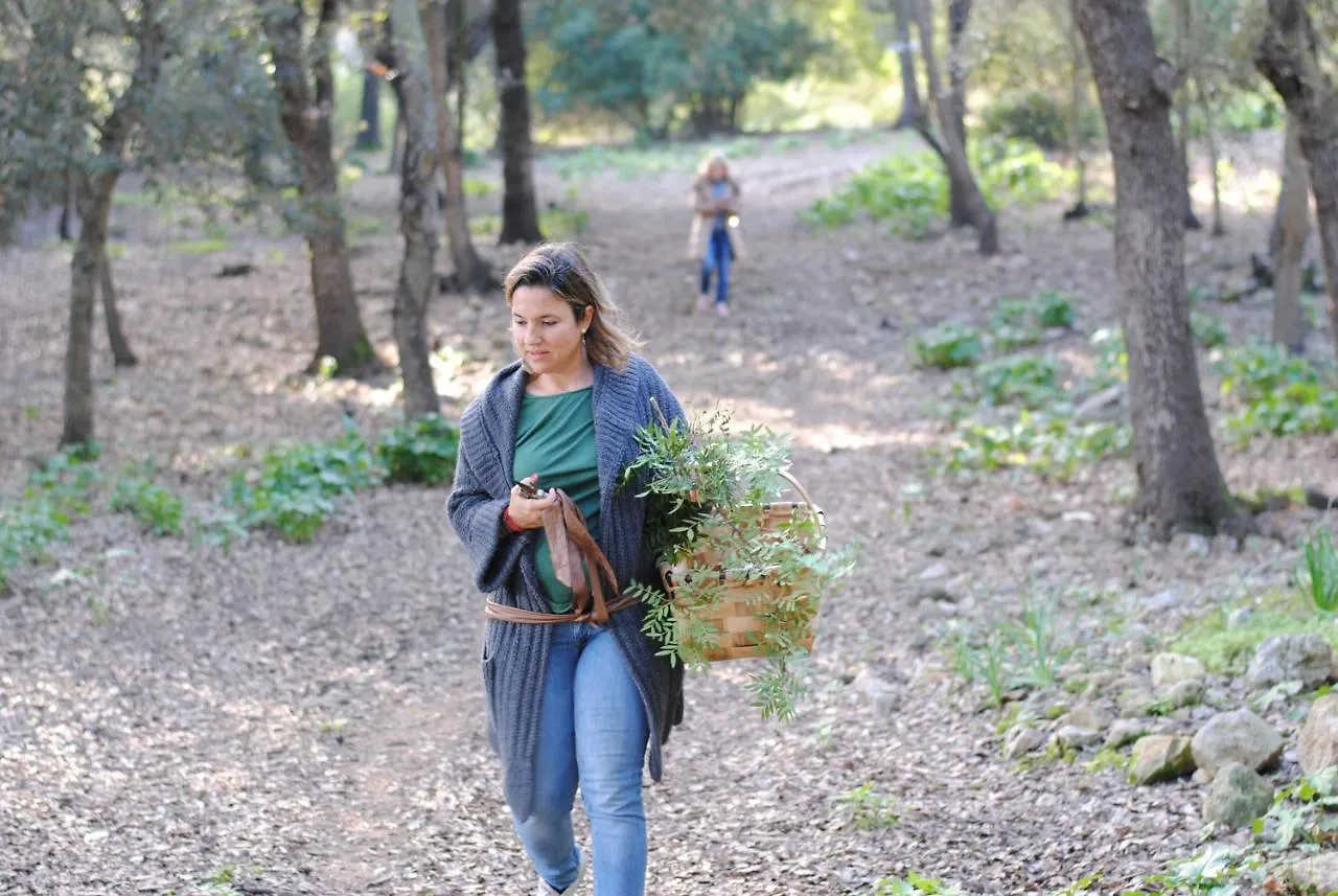 Agroturismo Son Siurana Alcudia  Farm stay Alcudia (Mallorca)
